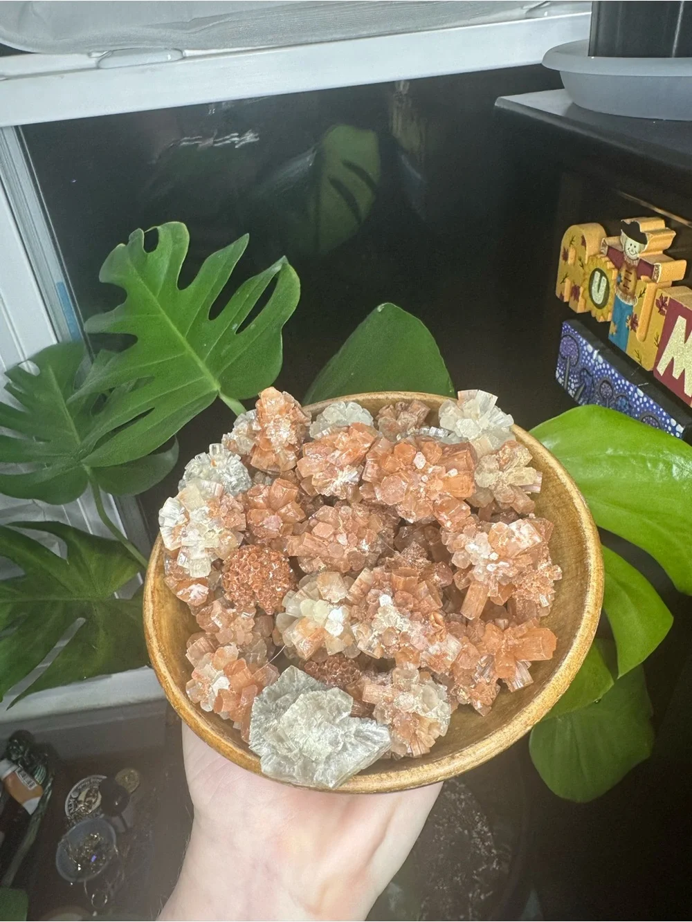 1 RANDOM Aragonite Flower Crystal Cluster - Peach & Cream
